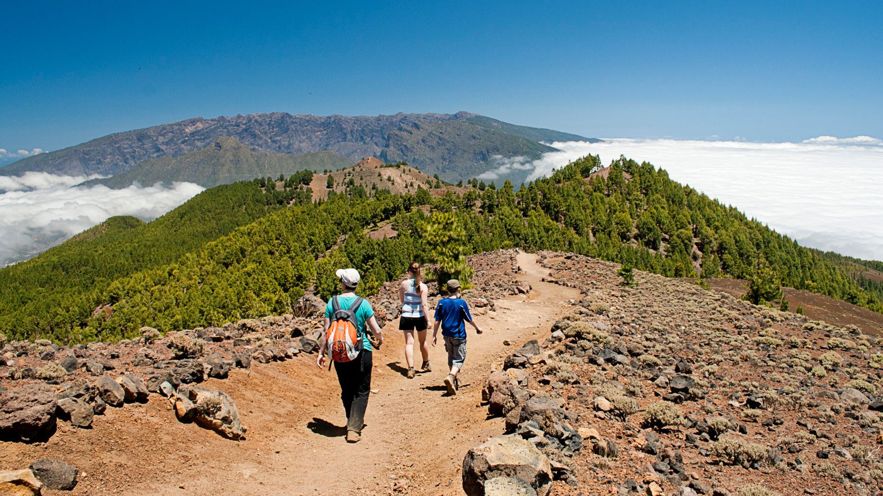 TOP 8 mejores senderos de Canarias