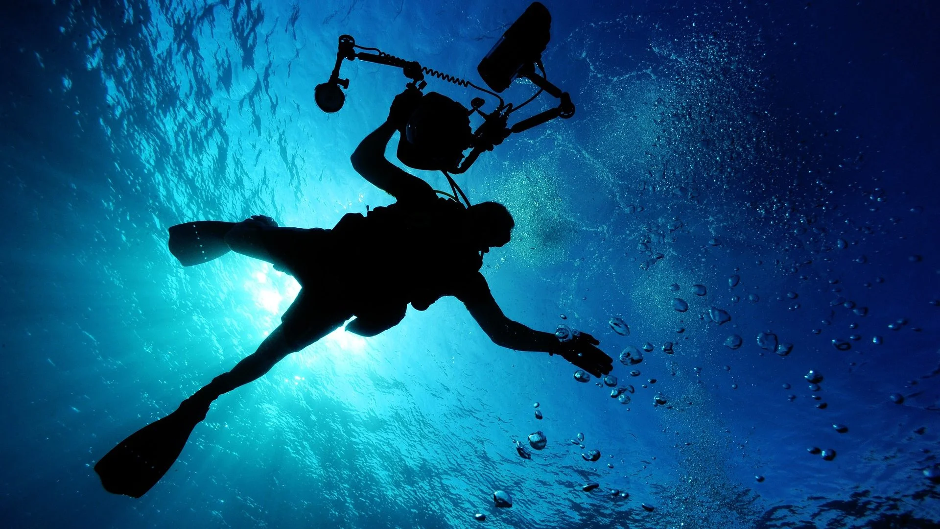 Inmersiones de buceo en Canarias