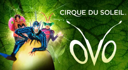 OVO - Cirque du Soleil (Circo del Sol) Gran Canaria