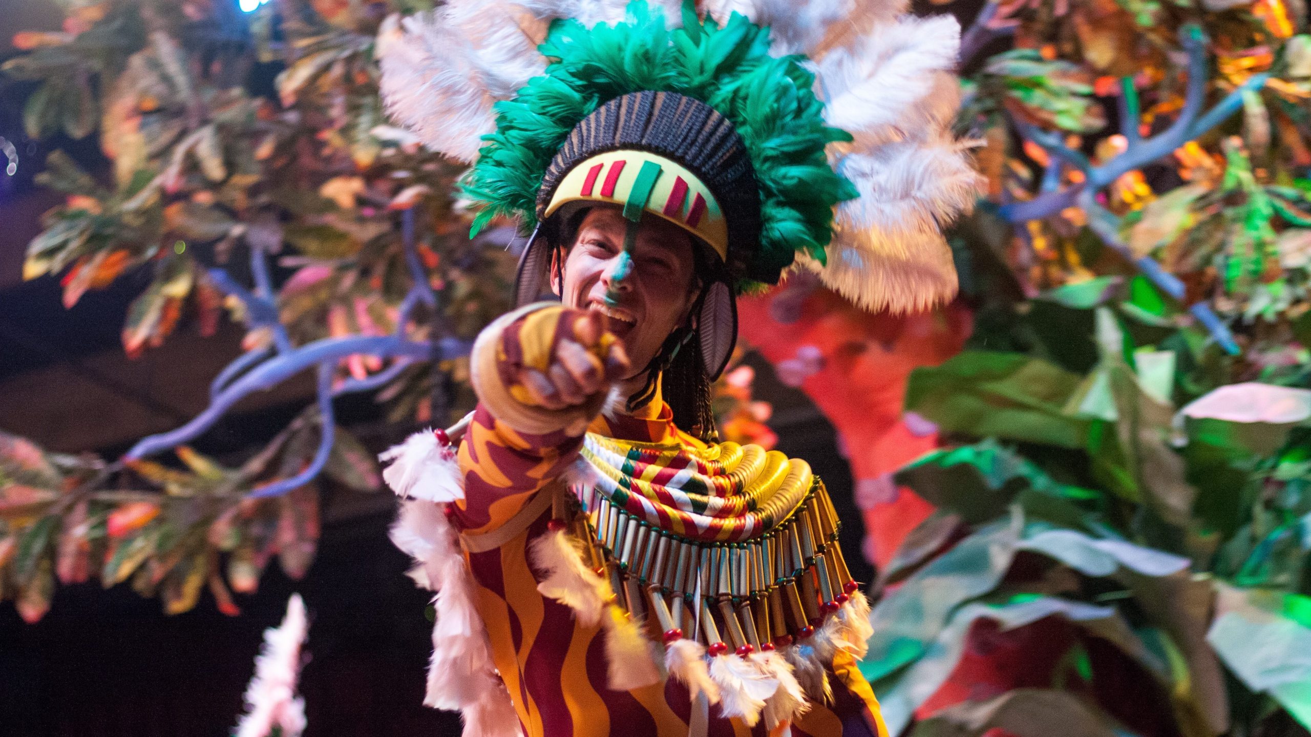 Bases Concurso Disfraces del Carnaval de Santa Cruz de Tenerife 2024