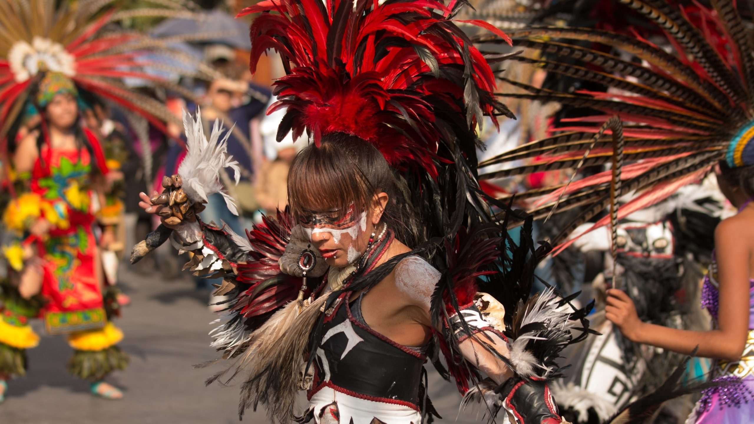 Carnaval de Las Palmas de Gran Canaria 2024. Programa de Actos, Eventos y Fechas de las Fiestas de Carnaval de Las Palmas de Gran Canaria 2024