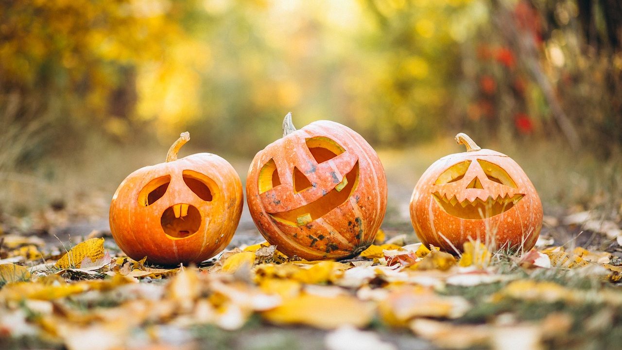Guía de Halloween 2023 en La Gomera: Programa de Actos, Eventos, Agenda y Fiestas para celebrar Halloween