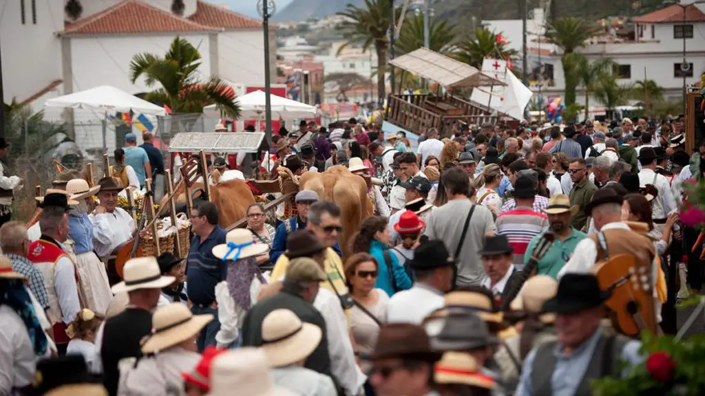 Romería de San Isidro Labrador y Santa María de la Cabeza en Valle de Guerra 2024