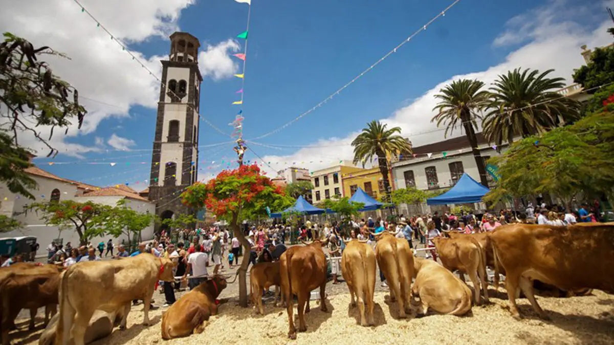 Día de Canarias en Santa Cruz de Tenerife 2024