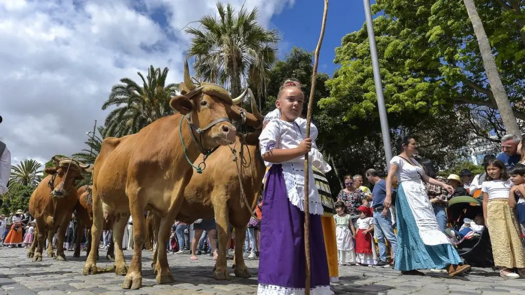 Día de Canarias en Las Palmas de Gran Canaria 2024